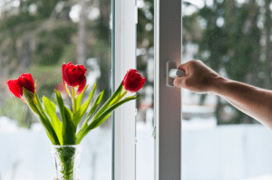 Hand on window and vase filled with red tulips