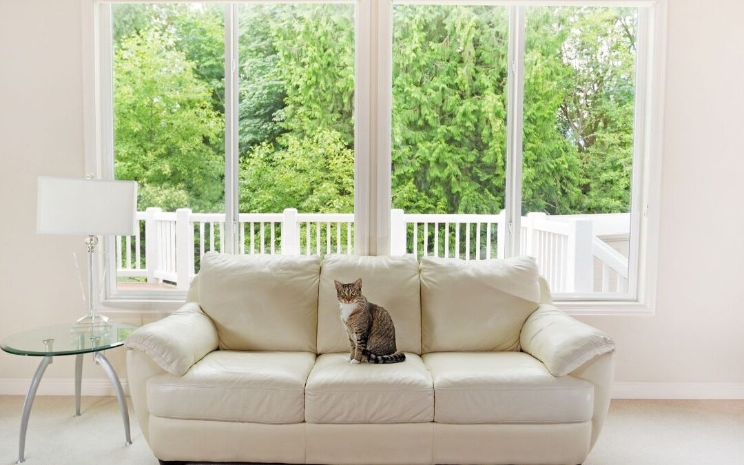 Why You Should Consider Using Common Window Sizes